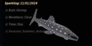 WHALE SHARK