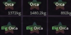 ORCA beli 5 gratis 1