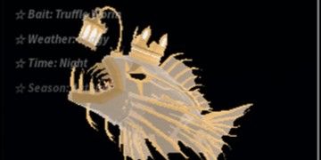 Crowned Anglerfish Fish Murah