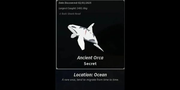 Ancient Orca - Fisch Secret Fish