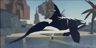 Orca Exotic - Fisch
