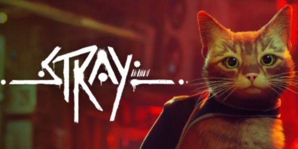 Stray ( Steam )