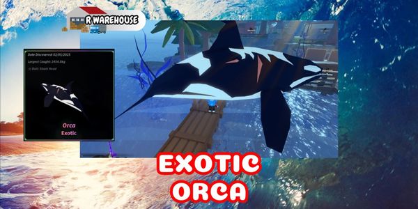 Orca Exotic (100% Guaranteed)