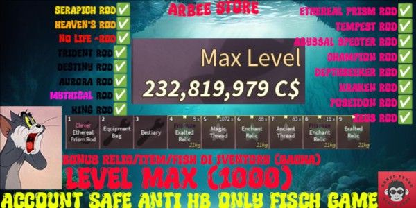 Account Max Level FISCH
