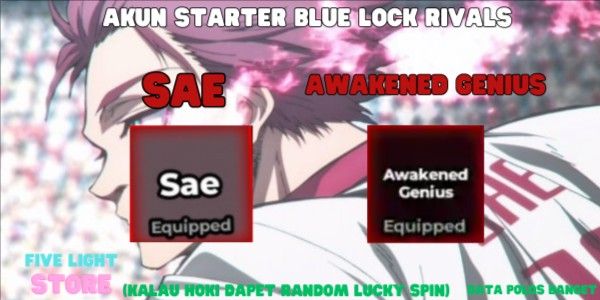 Akun Sae (Style) + Awakened Genius (Flow)