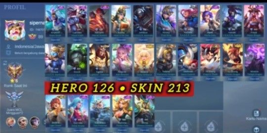 CHEAP SULTAN ACCOUNT SKIN 213
