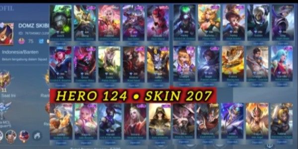 SULTAN SKIN ACCOUNT 207 GG