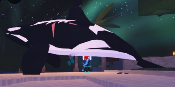 ORCA