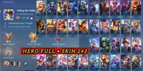 AKUN JUNGLER WR GG MURAH SKIN 242
