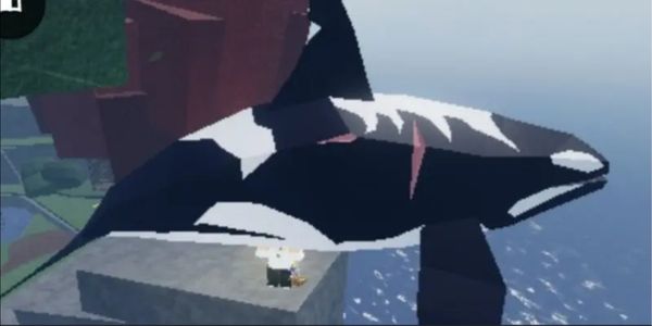 Orca | Fisch