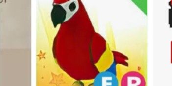 Parrot fr