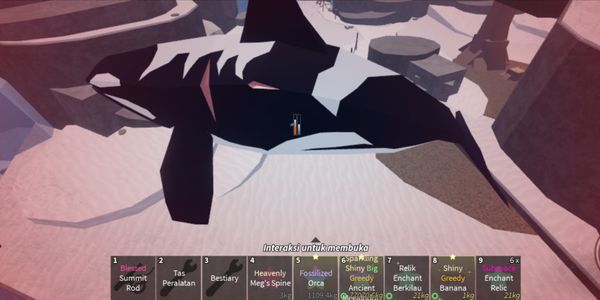 Orca Fish