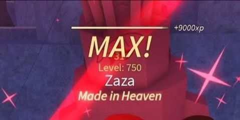 JOKI MAX LEVEL