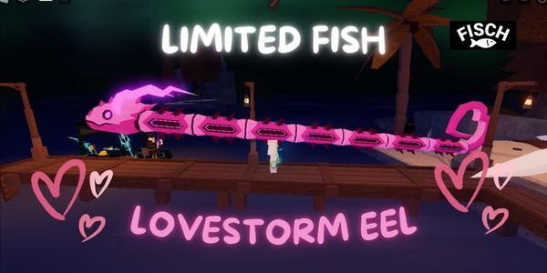 Lovestorm Eel | Fisch