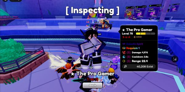 The Pro Gamer
