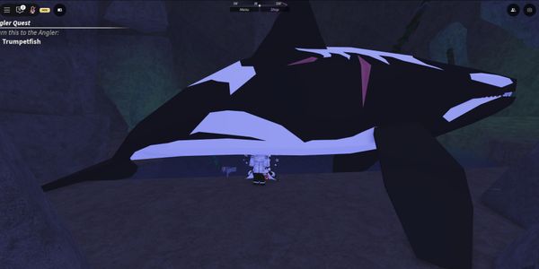 Orca Fisch