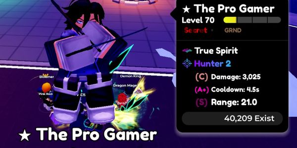 The Pro Gamer