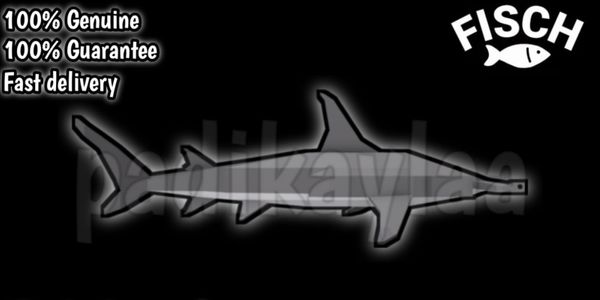 Great Hammerhead Shark