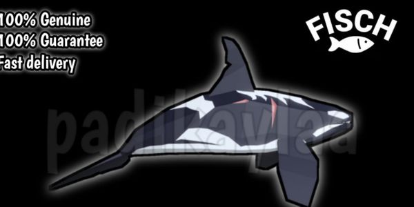 Orca