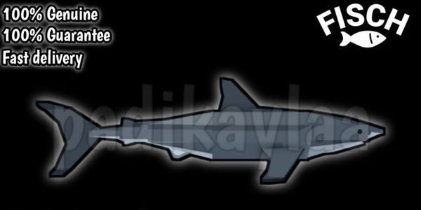 Great White Shark