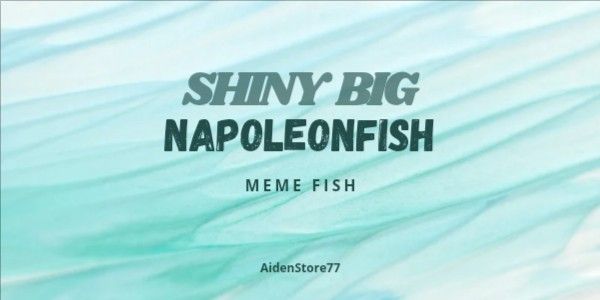Shiny Big Napoleonfish