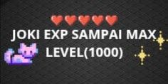 JOKI LEVEL SAMPAI MAX LEVEL{(1000)}