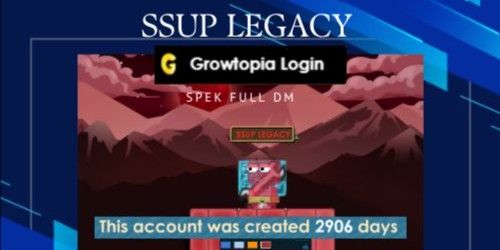 SSUP ACCOUNT 2900 DAY+ FULL SPECS DM