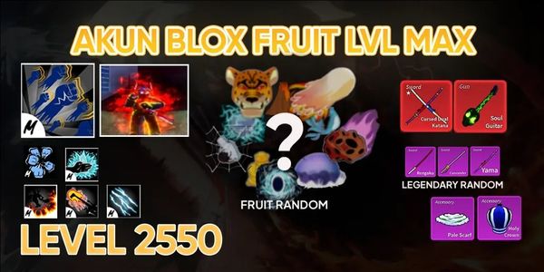 AKUN BLOX FRUIT LEVEL MAX RANDOM FRUIT WEAPON RACE