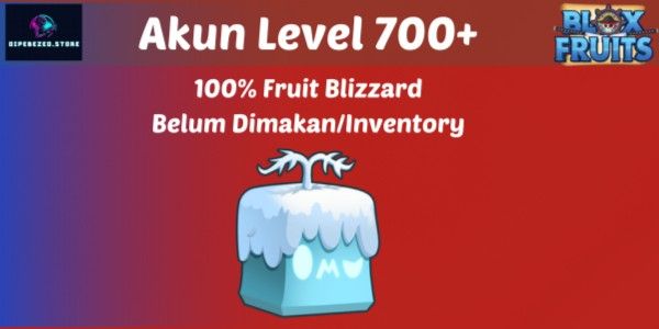 Level 1000 Account + 100% Blizzard Not Used Yet