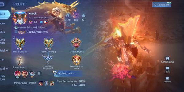 ml murmer account