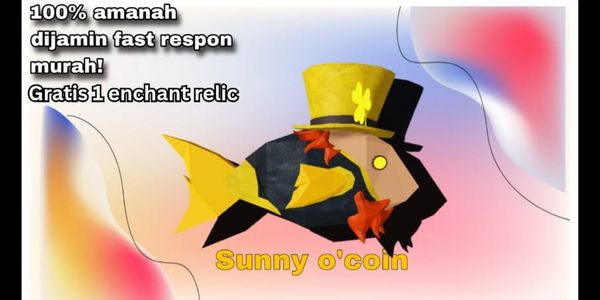 Sunny O'Coin (limited)