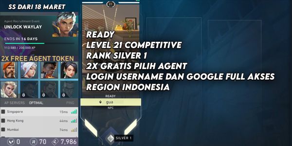 Akun level 20 Starter Valorant - Unranked Smurf ㅤFull Access