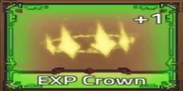 EXP Crown