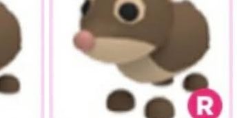 Ride Shrew Adopt Me