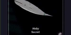 Sparkling Shiny Big Moby
