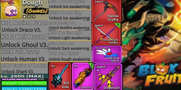 Akun Blox Fruits Permanent Dough + Race Draco