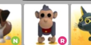 Ride toy monkey