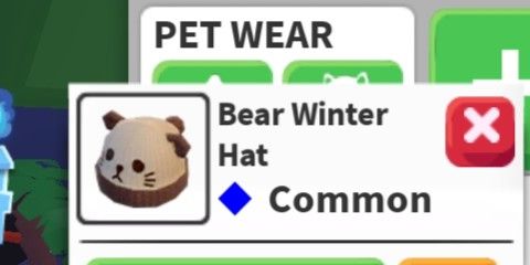 Bear Winter Hat (Pet Wear Head)