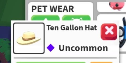 Ten Gallon Hat (Pet Wear)