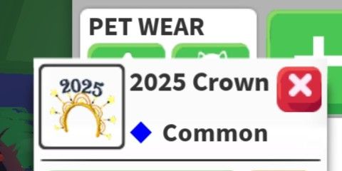 2025 crown (Pet Wear)