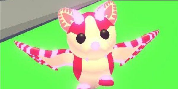 NFR Strawberry Shortcake Bat Dragon (SSBD) - ADOPT Me!