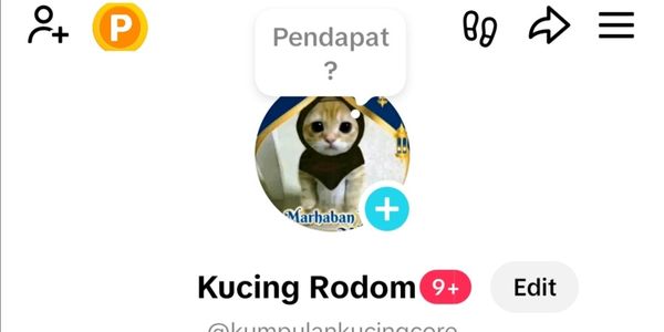 TikTok account fres