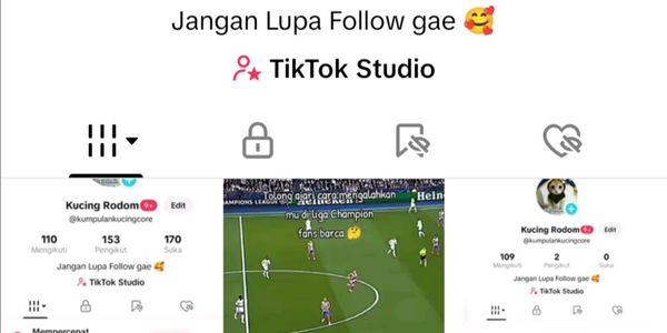 TikTok FES account