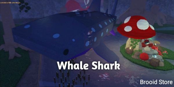 Whale Shark [FISCH]
