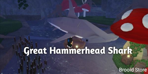 Great Hammerhead Shark [FISCH]