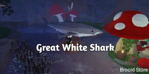 Great White Shark [FISCH]