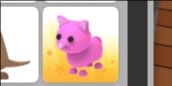 No Pot Pink Cat