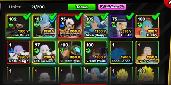 SHINY DARK MAGE ACCOUNT + 2 UNIQUE