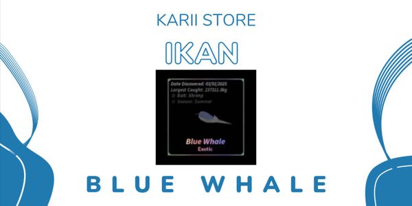 Blue Whale