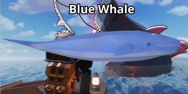 Blue Whale